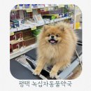 광교프라자동물약국 | 평택녹십자동물약국 넥스가드스펙트라 구매후기