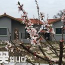 산들꽃펜션 이미지