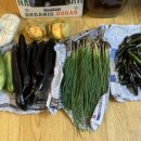 홍정농장 이미지