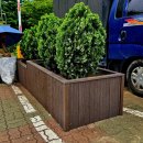 효원초교 이미지