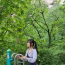 인헌동-14 이미지