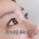 한미정 | [북가좌동 속눈썹] 20년 경력의 속눈썹 전문가의 ㅎㄷㄷ한 실력이라니..!! :: 윈디네일