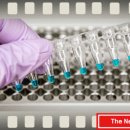 별 메디칼 이미지