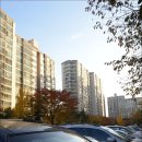 능길초등학교 이미지