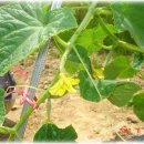 성빈농장 이미지