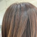 살롱드비니크