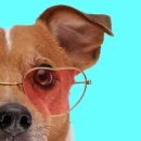 와우노래방 이미지