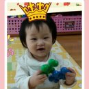 블럭쟁이 Daum카페