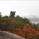 2011년 10월 22일 제천 둥지붕 가은산을 다녀와서 이미지