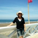 소풍 Daum카페