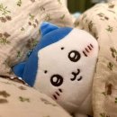 하이 - 남구 왕생로 61 | 하이