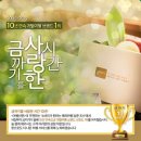 여행사랑투어