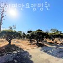평택이편안요양병원 이미지