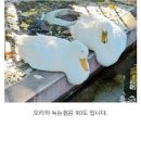 다은에스테틱