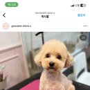 살롱드미미즈 이미지