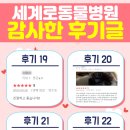 세계로 동물병원 이미지