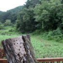 천안휴펜션 이미지