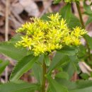 기린초등학교 이미지