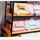 꼽슬이네 이미지