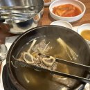 청주산양산삼 | 청주 정봉동 : 청주산양산삼(청주역 맛집)