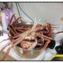 보람행정사사무소 이미지