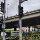 밝은눈안경마트신월점 앞 | [미국 🇺🇸 서부여행] 2월 신혼여행 LA 2일차 - 유니버셜 스튜디오 할리우드