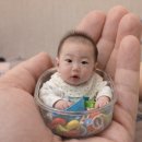 코끼리아프리카까스까스 이미지