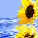 인베스트부동산중개 이미지