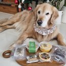 멍# | 부산 강아지 수제간식 택배 후기 멍찬가게 무방부제 강아지간식 추천