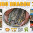 INDODRAGON 7권 발매 이미지