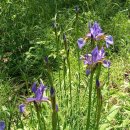 자이언츠주유소 이미지