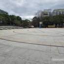 케이케이(주)달구벌충전소 | 대구 꽃구경 홍매화 산수유 활짝 핀 국채보상공원