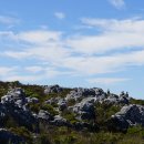 테이블79 이미지