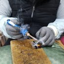 수내가보의료기 이미지