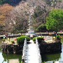 죽곡천 | 곡성 동리산 태안사
