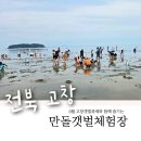 고창갯벌축제(2026) 아이와 다녀온 후기- 만돌갯벌체험학습장 체험비 준비물 갯벌체험 및 축제이벤트 정리