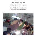 입석 Daum카페