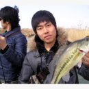 천리포선착장 이미지