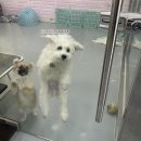 프리펫시티 이미지