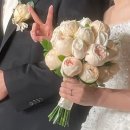 장미화실 | W15. 본식 부케 고르기 라운드 엠마우드 장미 선택 후기