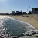 영진목장 이미지