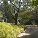 우각리 오의정 이미지