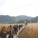 남구장애인복지관 주간보호센터 이미지