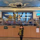 즐거운 자동차 마을 | 노원 기차마을 아이랑 다녀온 후기 (기차 카페 / 기차 레스토랑)