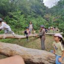 만성초등학교병설유치원 이미지