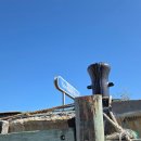 스펙타클(SPECTACLE) | 보스턴 일상 #13. 스펙타클 섬 무료 크루즈 투어 후기