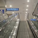 평택항 국제여객터미널 | [대마도여행] 부산항국제여객터미널 씨플라워호탑승후기 대마도당일치기 (부산~히타가츠)