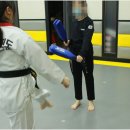 경희대히어로즈태권도장
