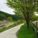 상도치마을회관 이미지