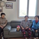 진목경로당 Daum카페